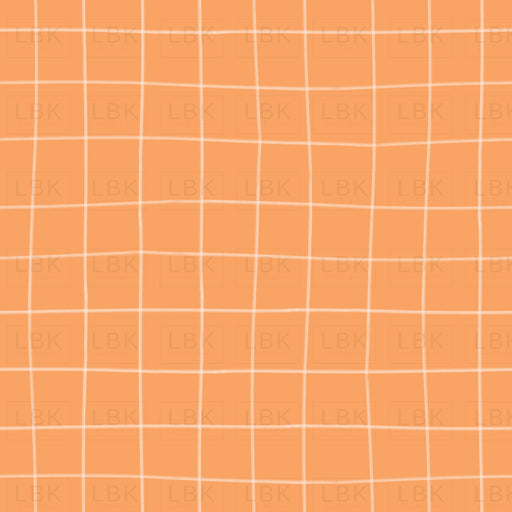 Gingham In Apricot