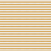 Pin Stripes Straw
