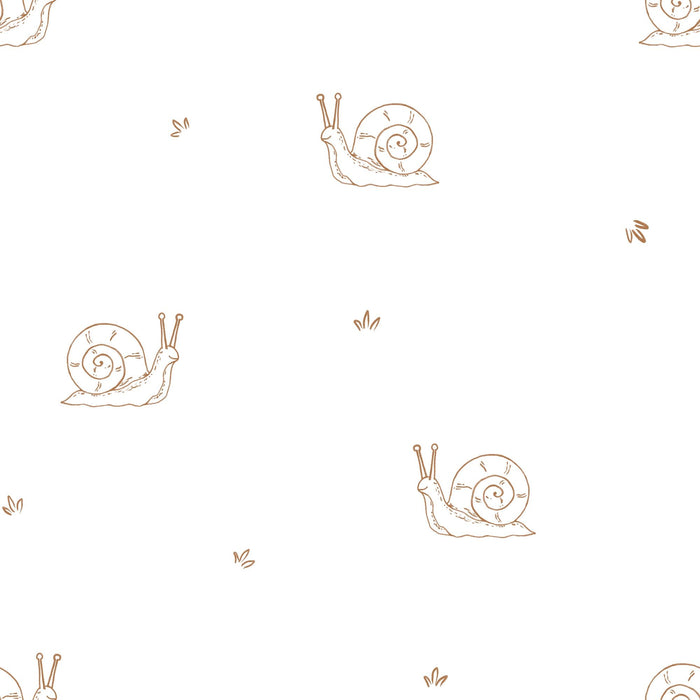 Little Snail 01