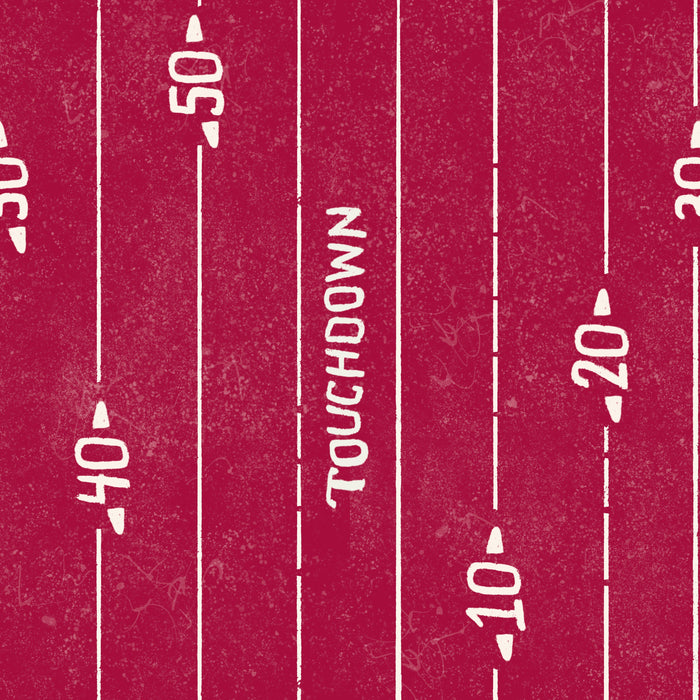Arizona touchdown stripe