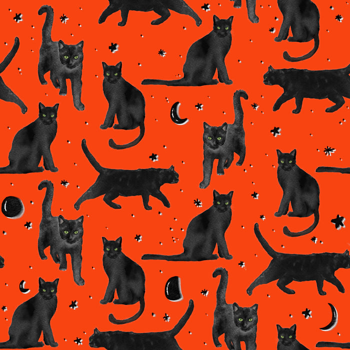 Black Cats Prowl bright bittersweet