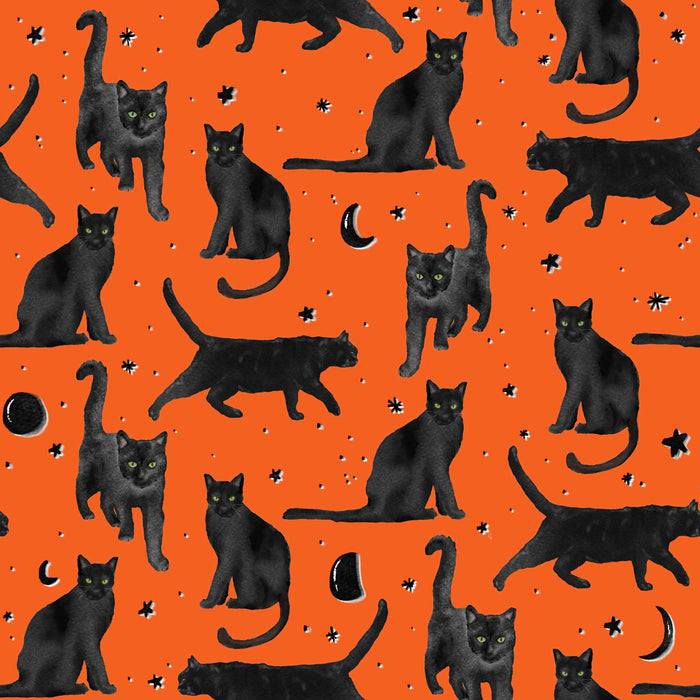 Black cats prowl - jack-o-lantern orange