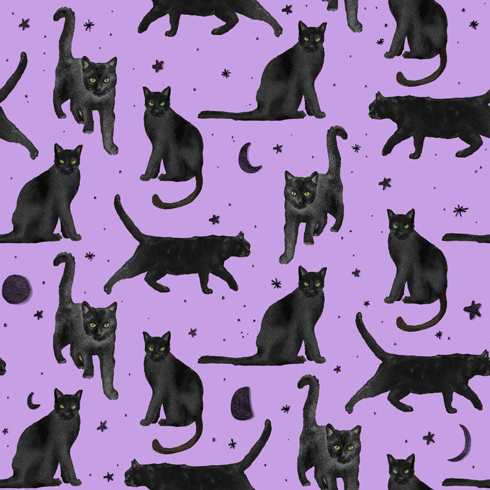 Black cats prowl Potion Purple