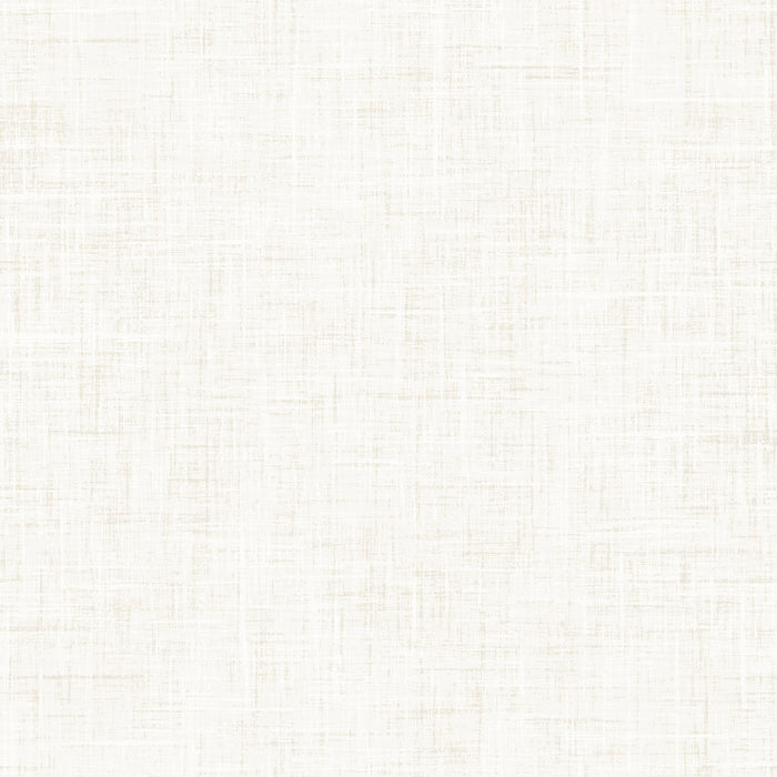 Book Worm Textured Solid Paper White