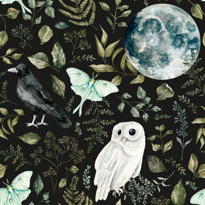 CR_MoonlitHollow_SpookyForest_Dark_RGB