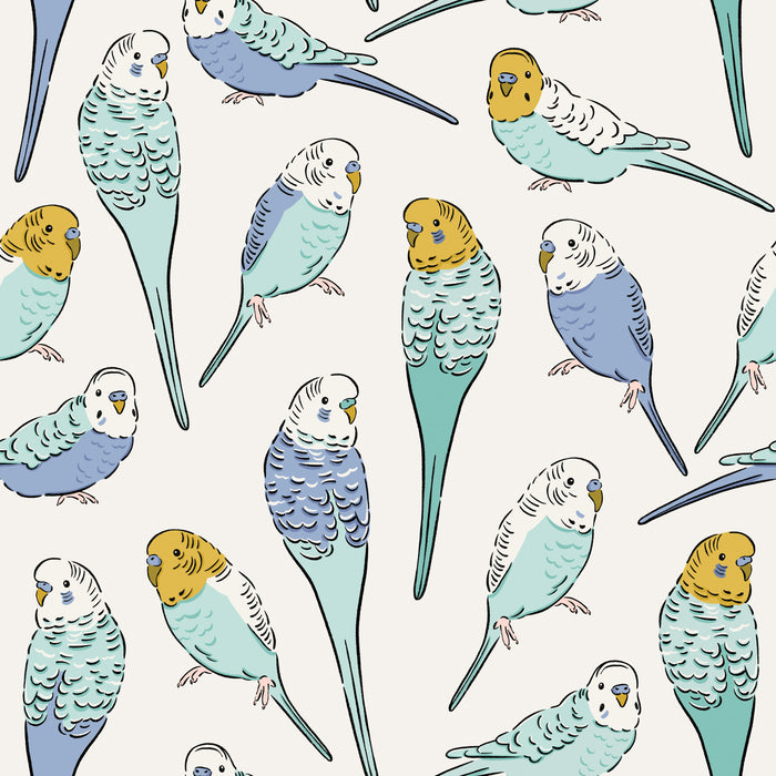 CR_PetShop_Parakeets_RGB