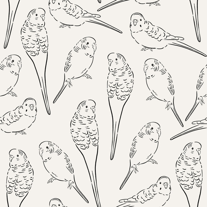 CR_PetShop_Sketched_Parakeets_BlackCream_RGB
