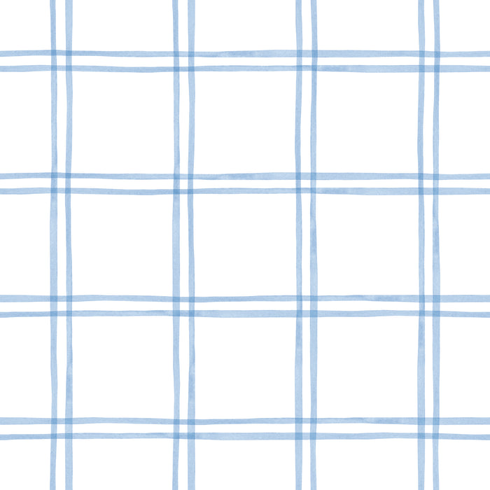 CateandRainn_Coquette_Plaid_Blue_RGB