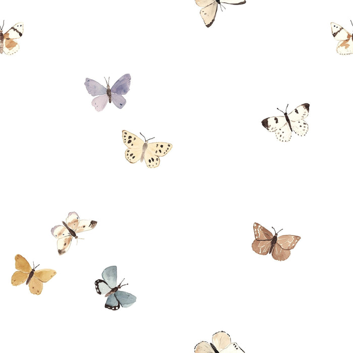 Small Butterflies 01