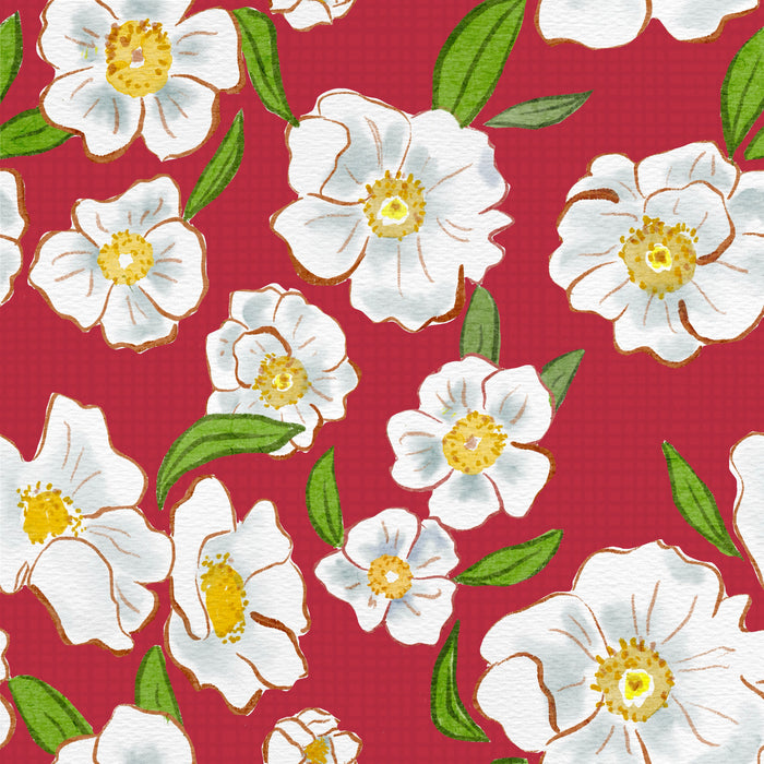 Georgiacherokeerosered