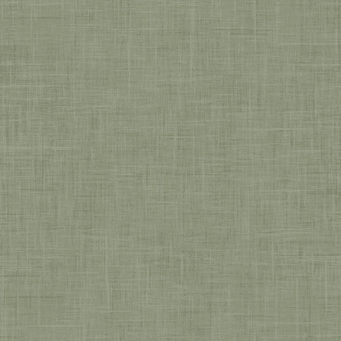 Holy Night Textured Solid Green