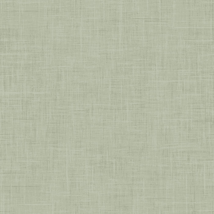 Holy Night Textured Solid Light Green