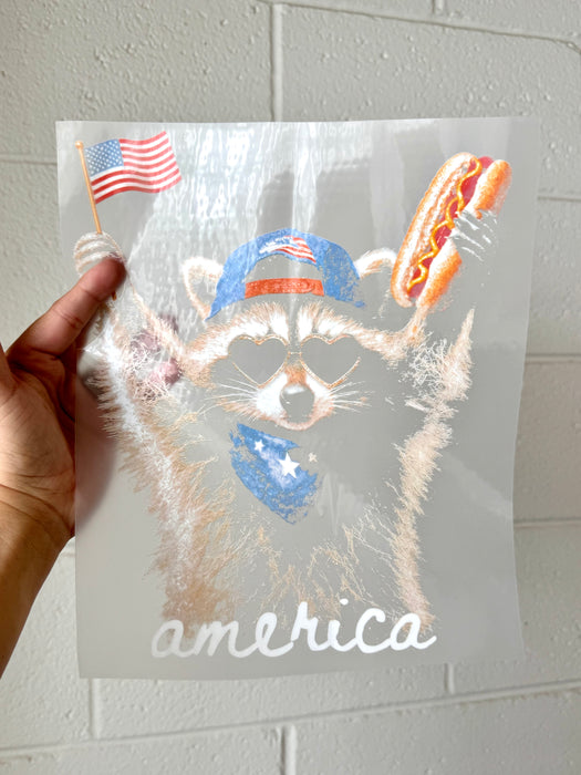 AMERICA RACOON DTF Deal