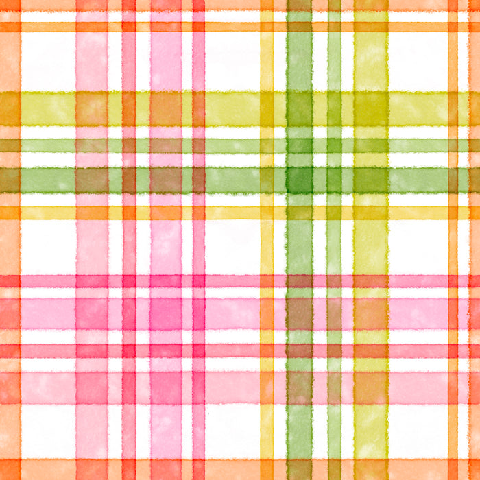 Lily plaid white