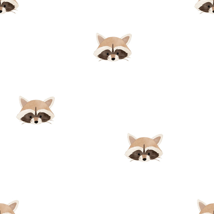 Raccoon 01