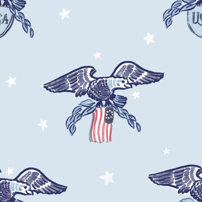Old Glory Eagles sky blue
