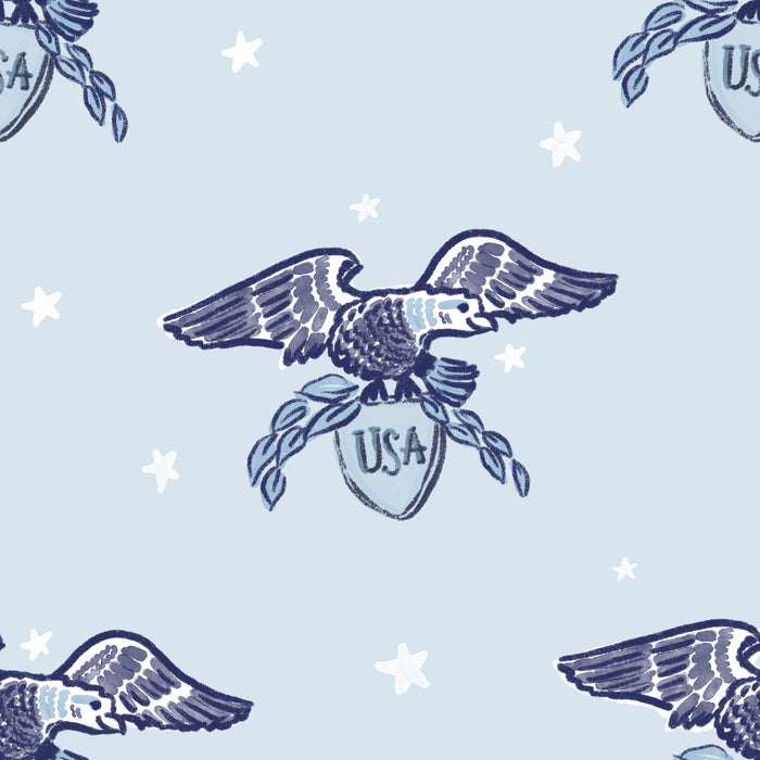 Old Glory USA eagles sky blue