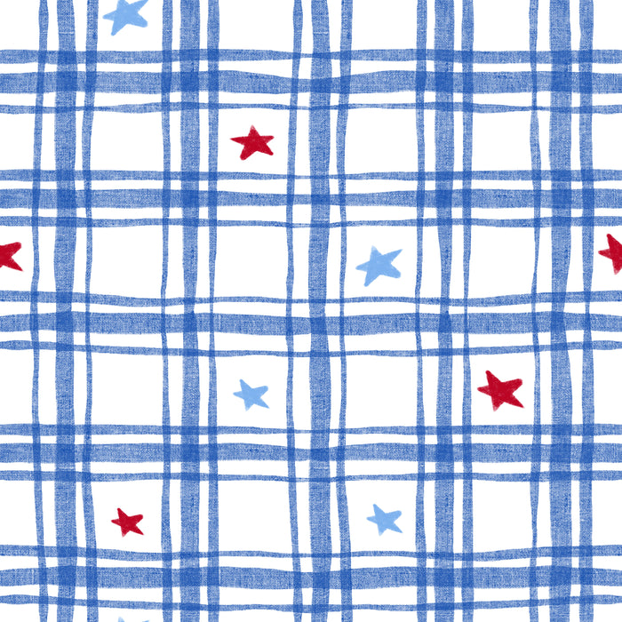 RWB Linen Gingham and Stars