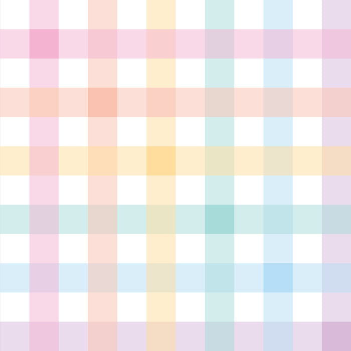 Rainbow Gingham