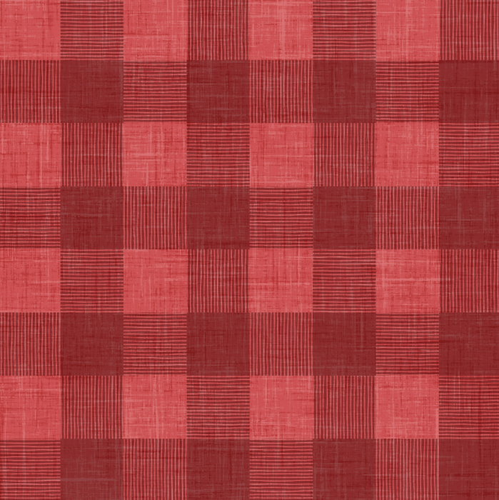Yankee Doodle Gingham Red