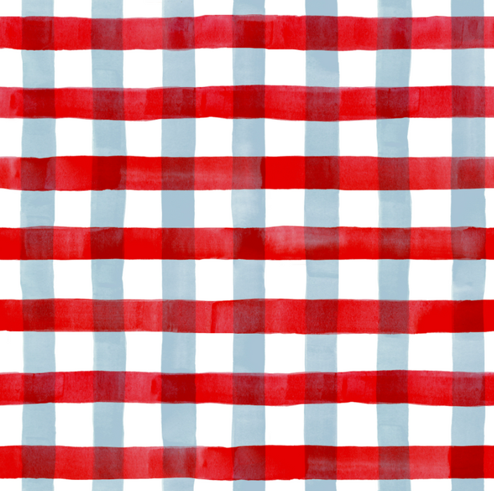 Red and Baby Blue Watercolor Buffalo Check