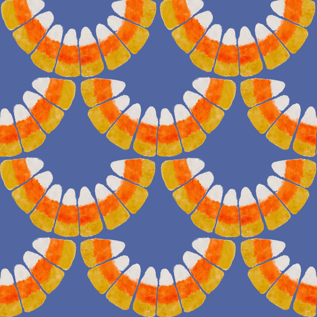 Candy corn scallop - twilight sky