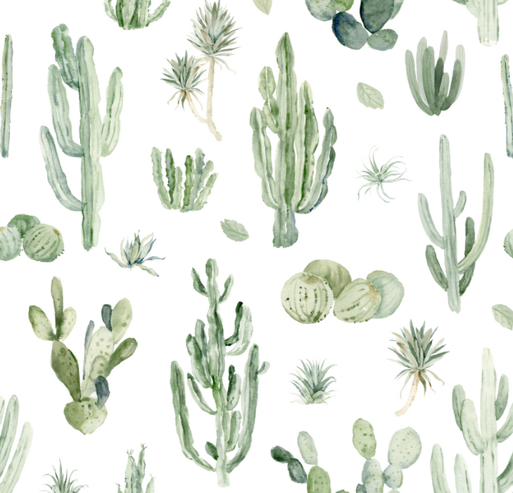 Summer Cactus
