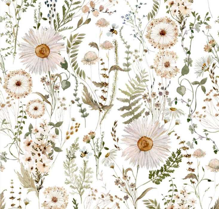 Daisy Dandelion Wildflower Meadow