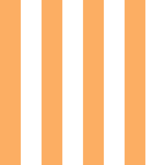 Tangerine Orange and White Stripes
