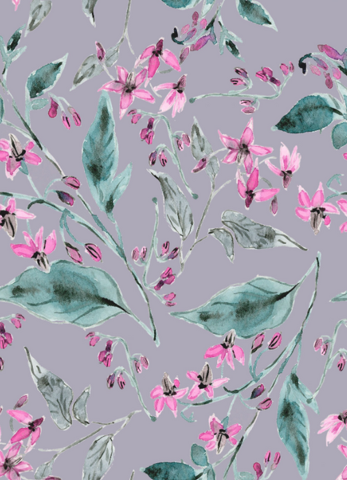 deadlynightshadetwilight