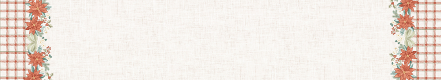 Dear Santa Border Vertical Floral