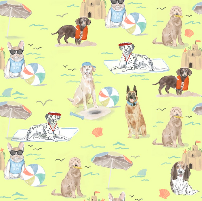 Dog beach bright yellow