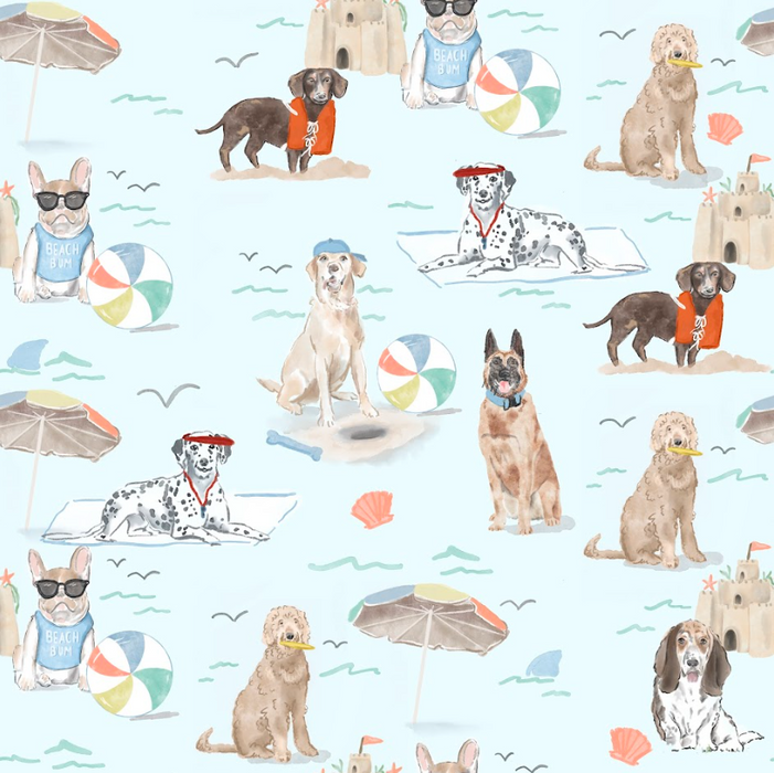 Dog beach blue