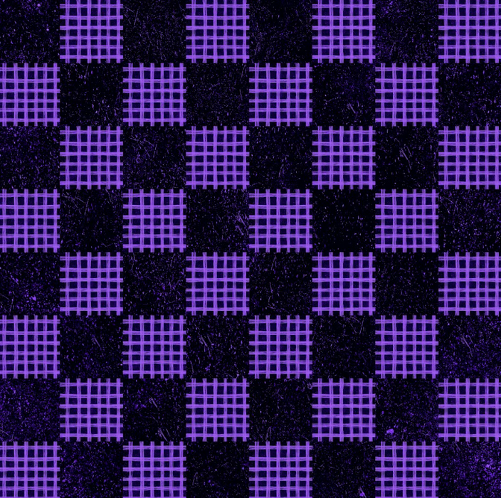 Spooky check purple
