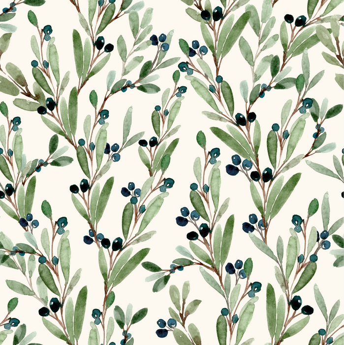 Olive Orchard