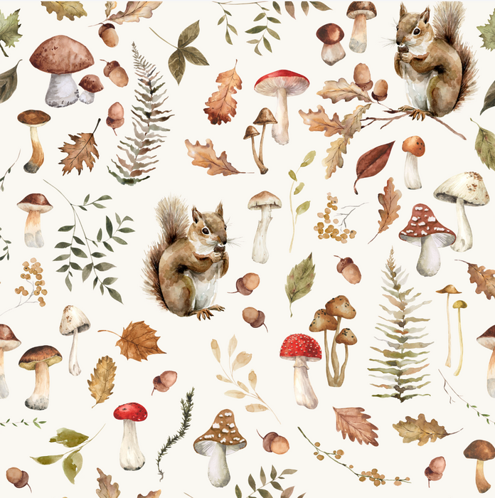 Fall Woodland Forage Squirrels