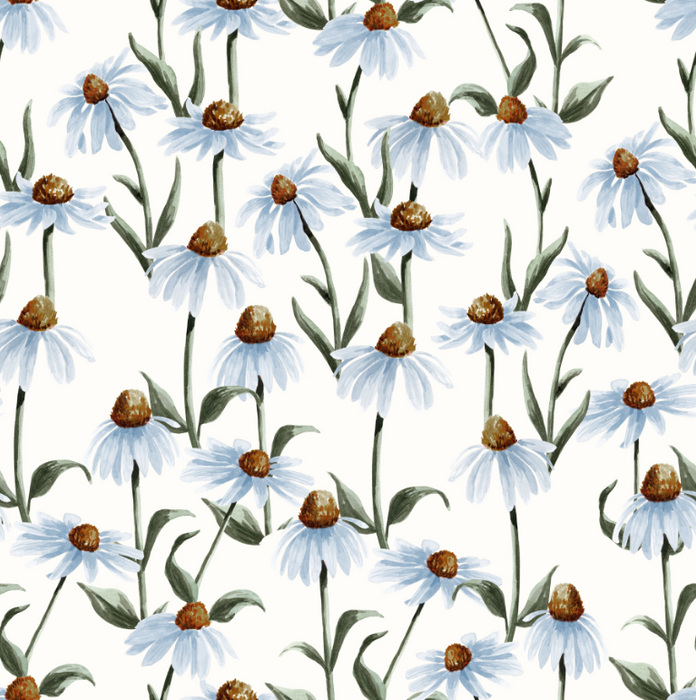 Dusty Blue Coneflower Garden