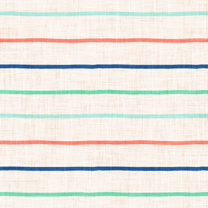 Skate Park Stripe Multi Blue