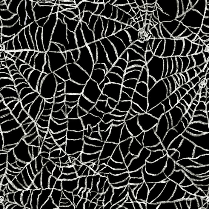 Spider web black