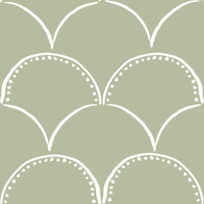 Simple Scallop- cream on sage green