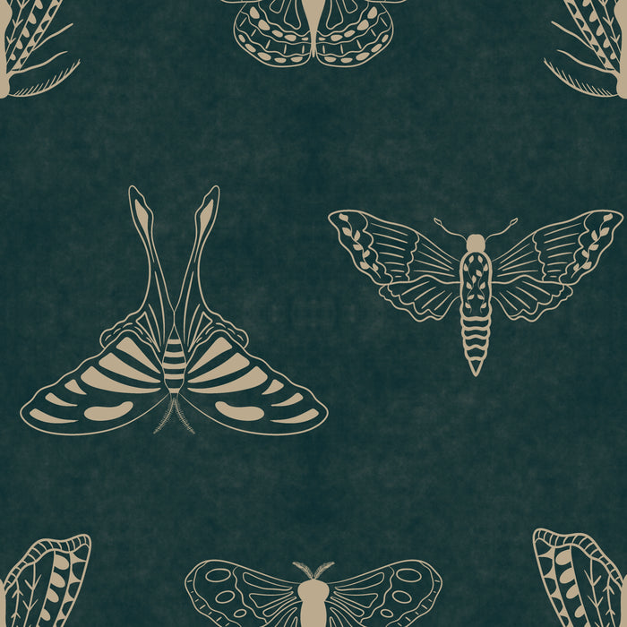 Teal moth