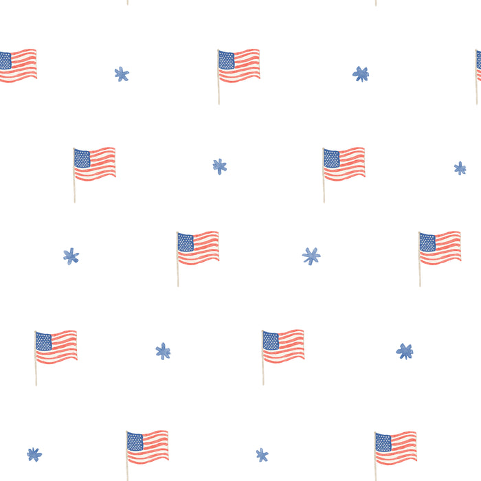 USA flags and stars- white10