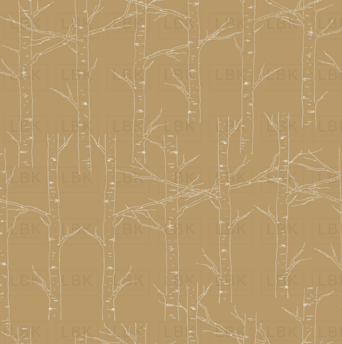 ASPEN TREE IN BUTTERCUP