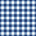 Blue And White Gingham
