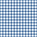 Blue And White Small Gingham