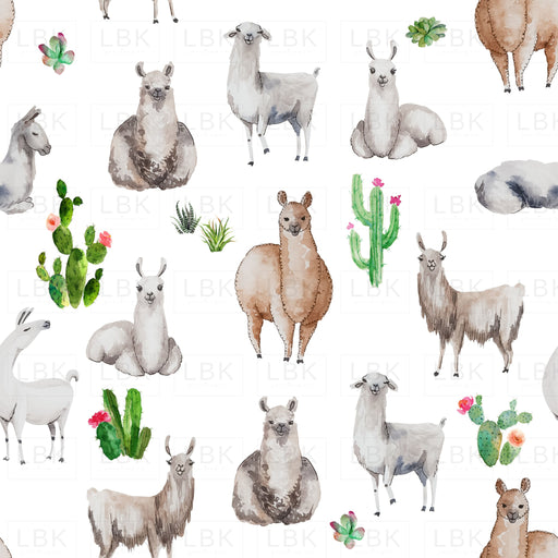 Bohemian Llamas With Succulents