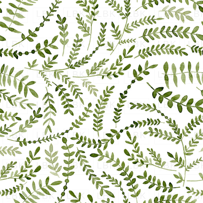Botanical Leaves On Olive