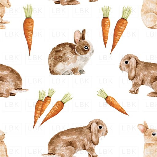 Bunnies And Carrots