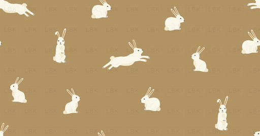 Bunny Rabbits On Prairie Antelope