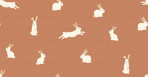 Bunny Rabbits On Terracotta